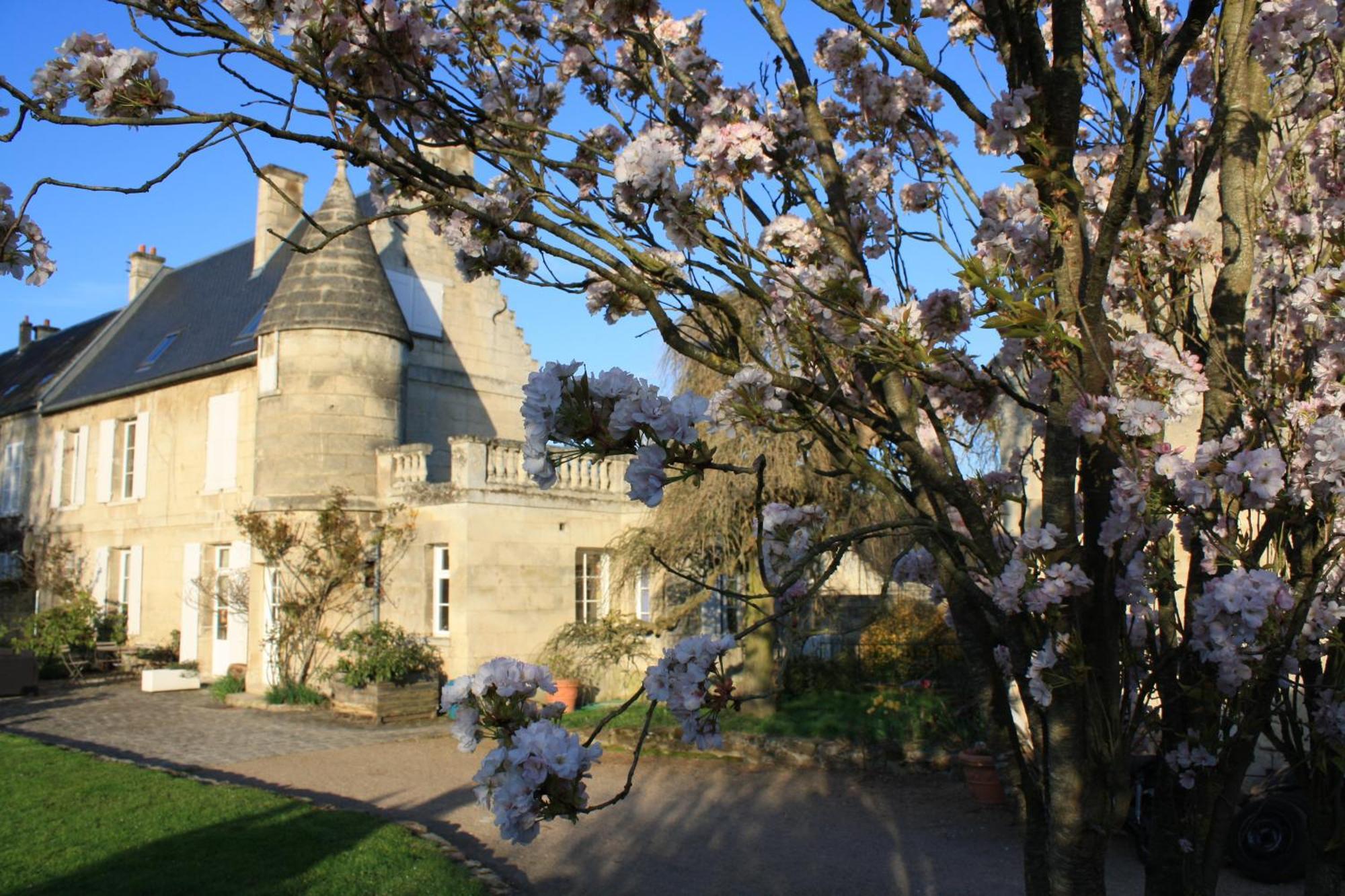 La Barbotine Bed and Breakfast Septmonts Exteriör bild